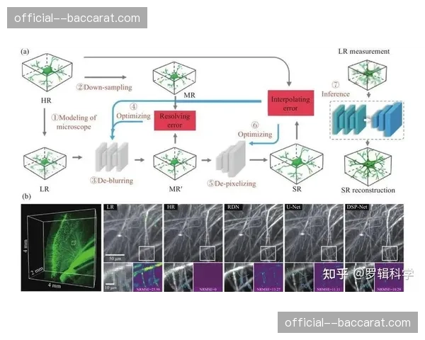 神经网络去噪算法应用 赛场原生音频采集质感飞跃